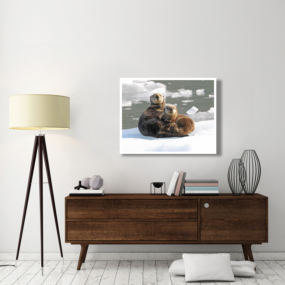 Sea Otter female with pup on ice floe, Prince William Sound, Alaska-Paper Art-42&quotx32"