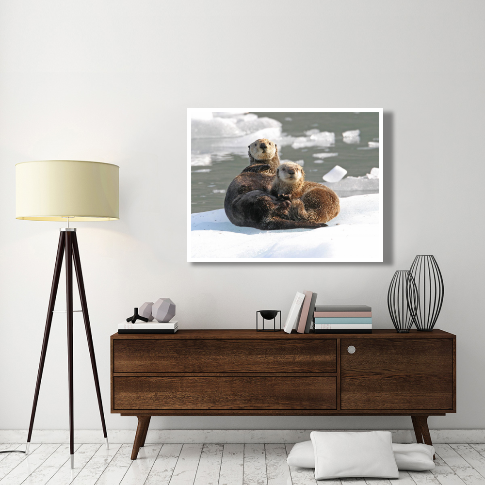 Sea Otter female with pup on ice floe, Prince William Sound, Alaska-Paper Art-50&quotx38"