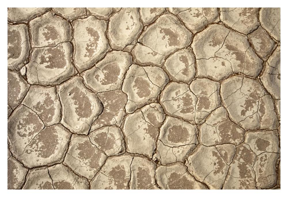 Patterns in the Clay Pan of Dead Vlei-Paper Art-20"x14"
