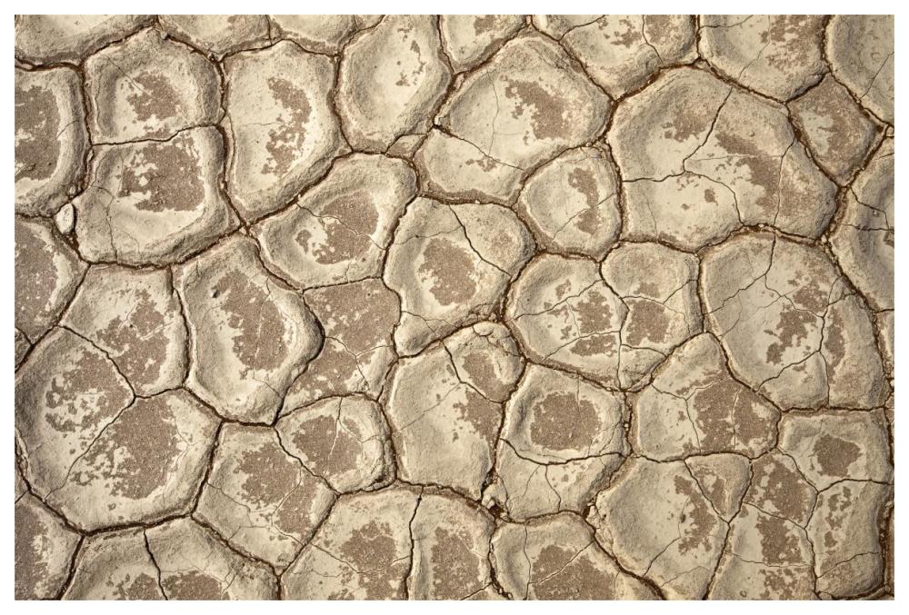 Patterns in the Clay Pan of Dead Vlei-Paper Art-62"x42"