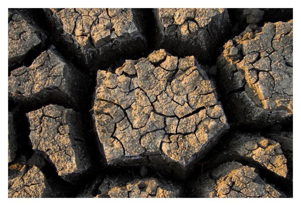 Cracked, dried out mud, Mokolodi Nature Reserve, Botswana-Paper Art-38"x26"