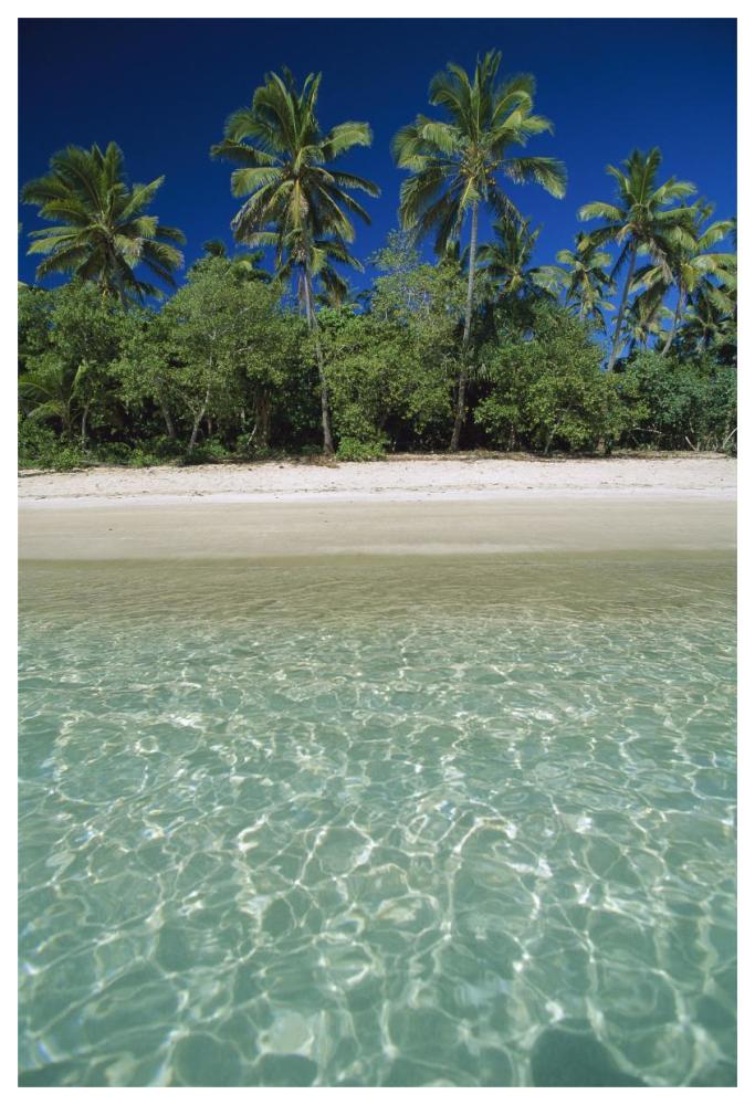 Tropical scene with palm trees, Uoleva Island, Ha'apai Group, Tonga-Paper Art-42"x62"