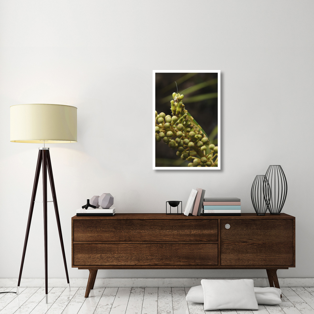 Mantis on Pitcher Plant-Paper Art-26&quotx38"
