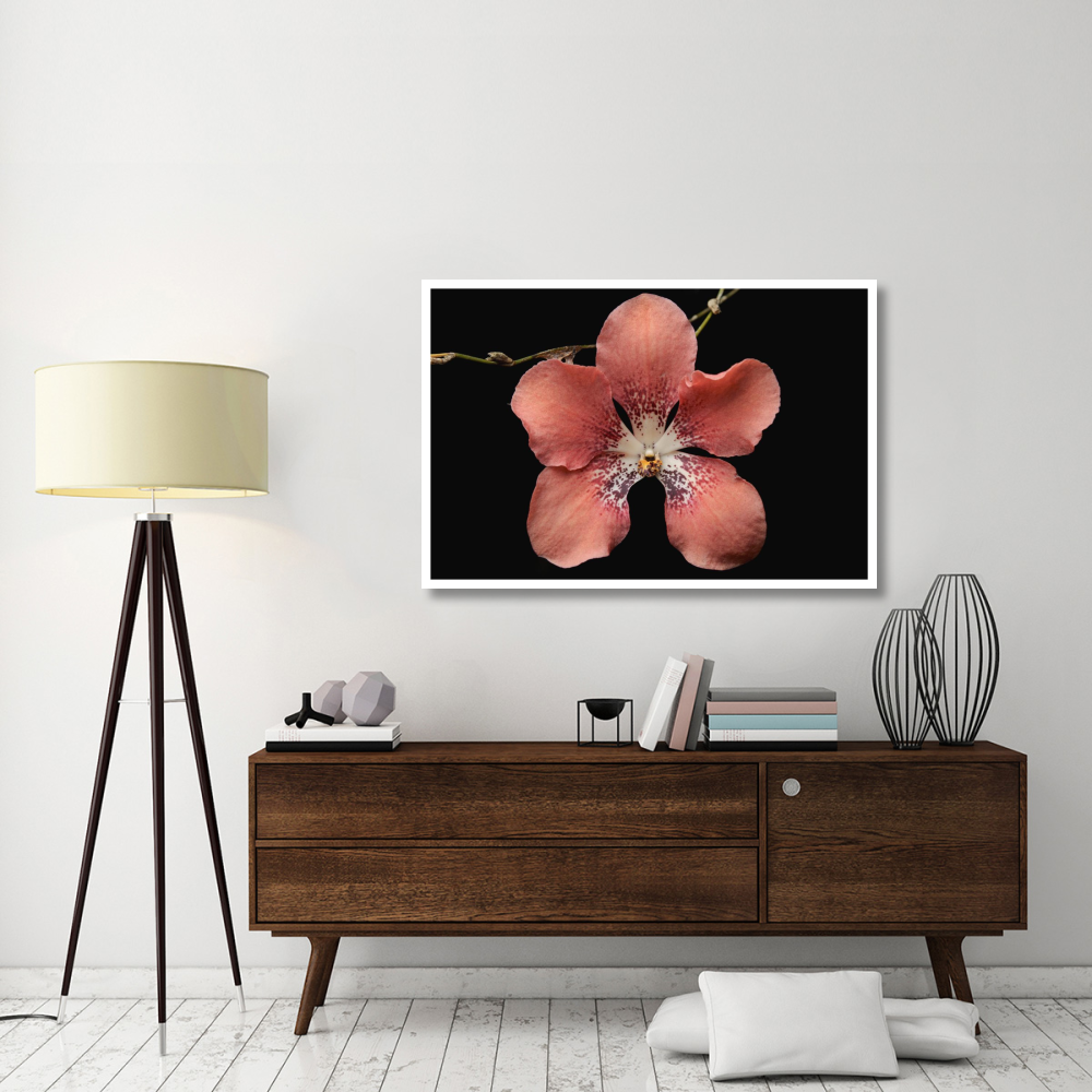 Orchid flower, Sabah, Borneo, Malaysia-Paper Art-50&quotx34"