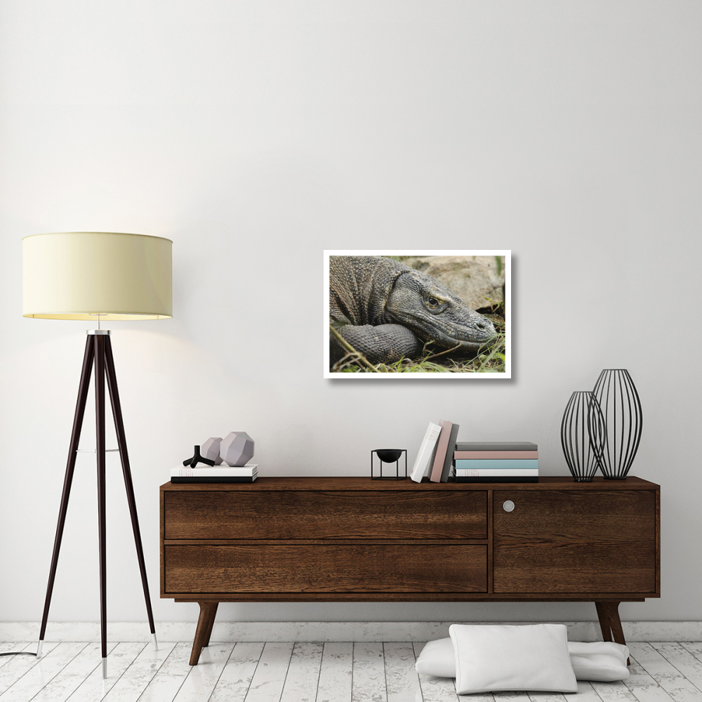 Komodo Dragon, Nusa Tenggara, Indonesia-Paper Art-32&quotx22"