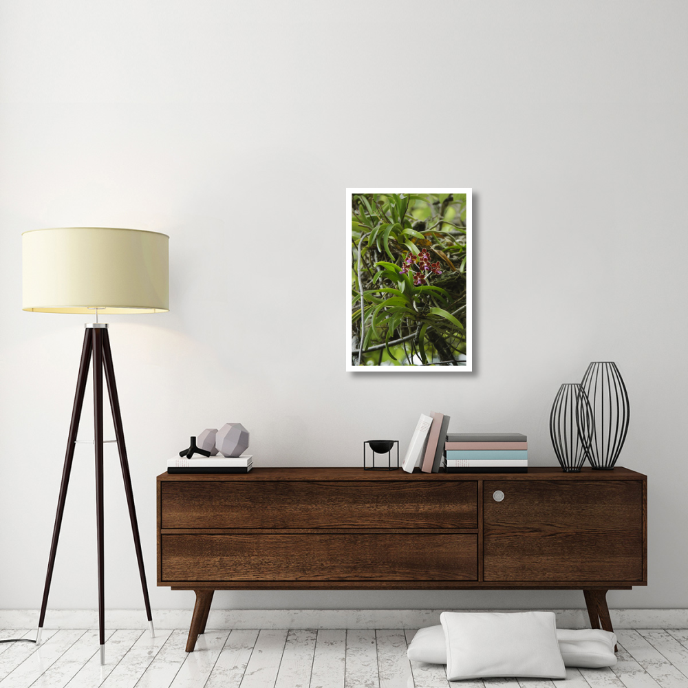 Orchid flowers, Nusa Tenggara, Indonesia-Paper Art-22&quotx32"