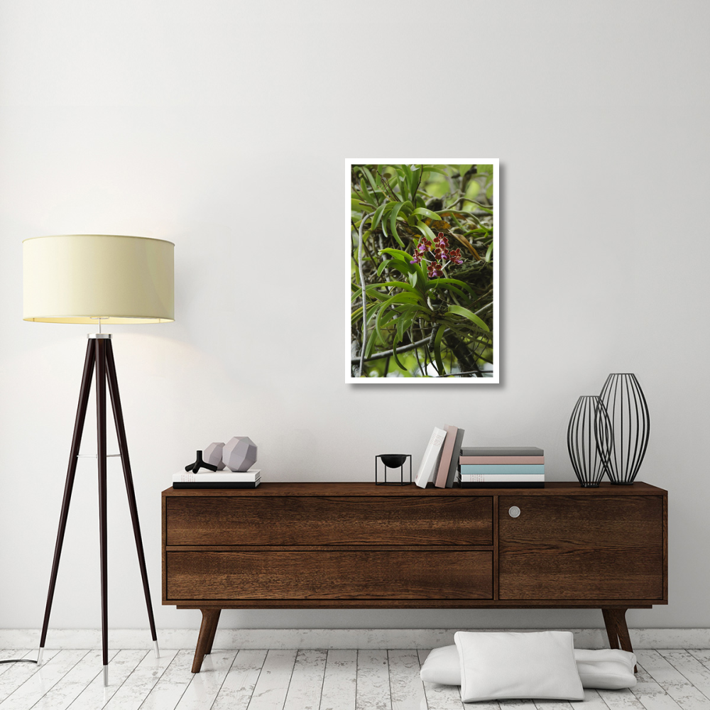 Orchid flowers, Nusa Tenggara, Indonesia-Paper Art-26&quotx38"