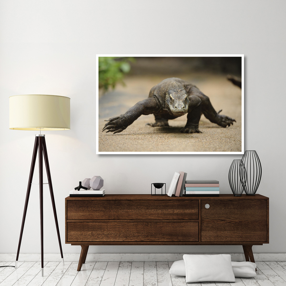 Komodo Dragon walking, Nusa Tenggara, Indonesia-Paper Art-62&quotx42"