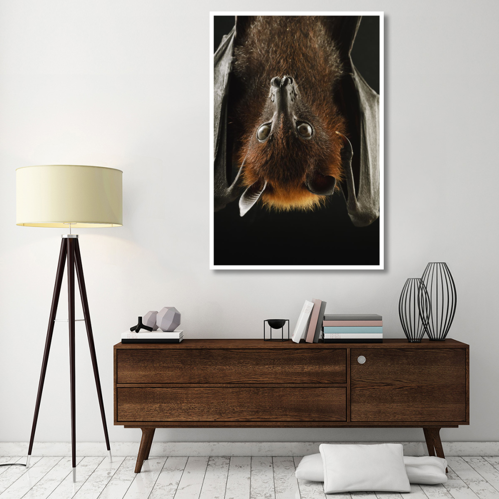 Large Flying Fox roosting, Kuching, Borneo, Malaysia-Paper Art-42&quotx62"