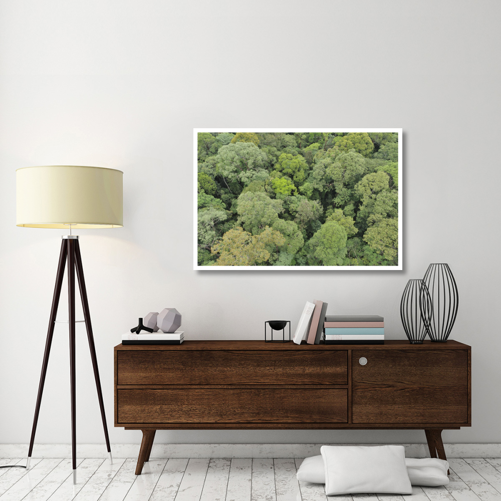 Canopy of lowland mixed dipterocarp forest, Lambir Hills National Park, Borneo, Malaysia-Paper Art-50&quotx34"