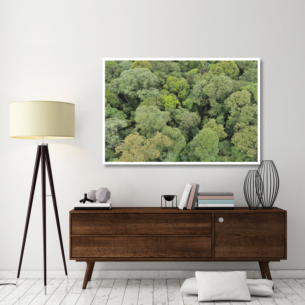 Canopy of lowland mixed dipterocarp forest, Lambir Hills National Park, Borneo, Malaysia-Paper Art-62&quotx42"