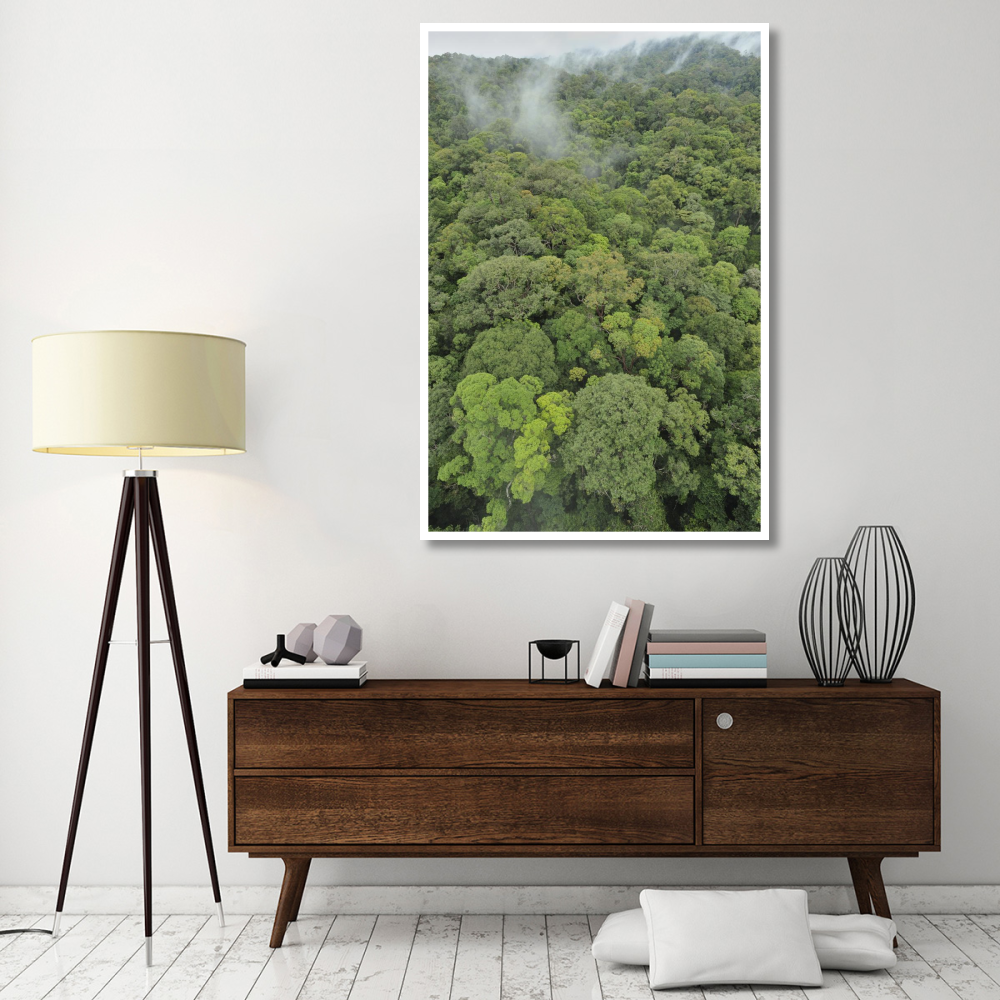 Canopy of lowland mixed dipterocarp forest, Lambir Hills National Park, Borneo, Malaysia-Paper Art-42&quotx62"