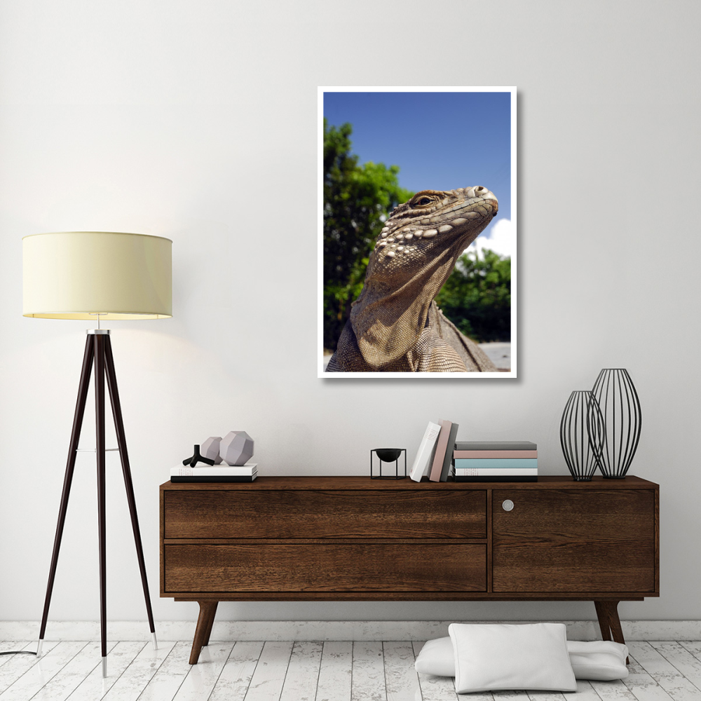 Green Iguana sunbathing-Paper Art-34&quotx50"