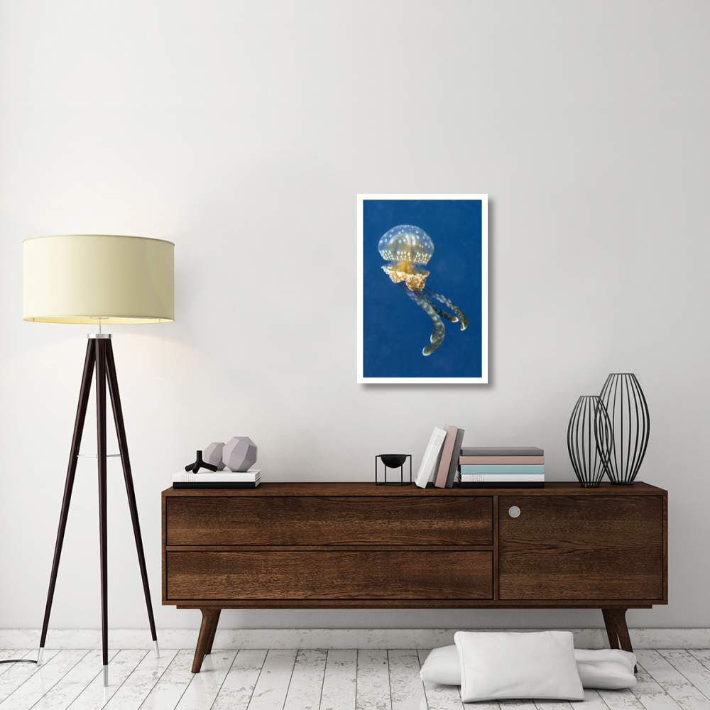Colourful, poisonous Mangrove Jellyfish-Paper Art-22&quotx32"