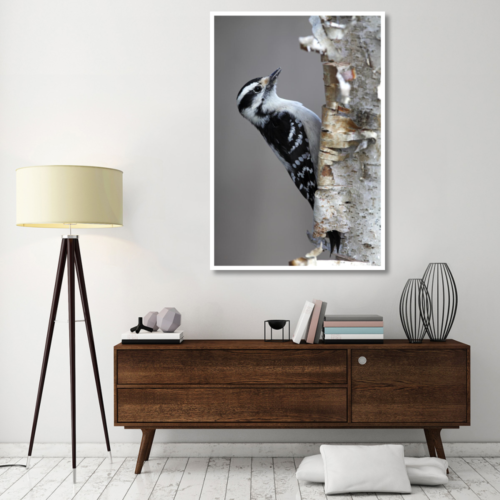Downy Woodpecker, Canada-Paper Art-42&quotx62"
