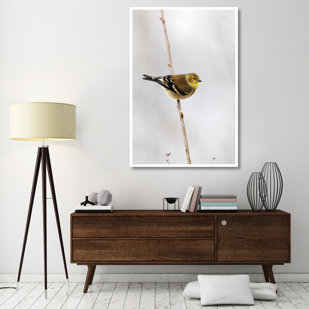 American Goldfinch, Canada-Paper Art-42&quotx62"