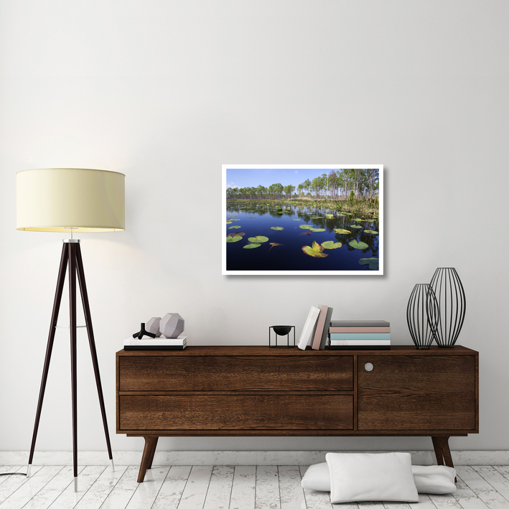 Lake with lily pads, southern Florida-Paper Art-38&quotx26"