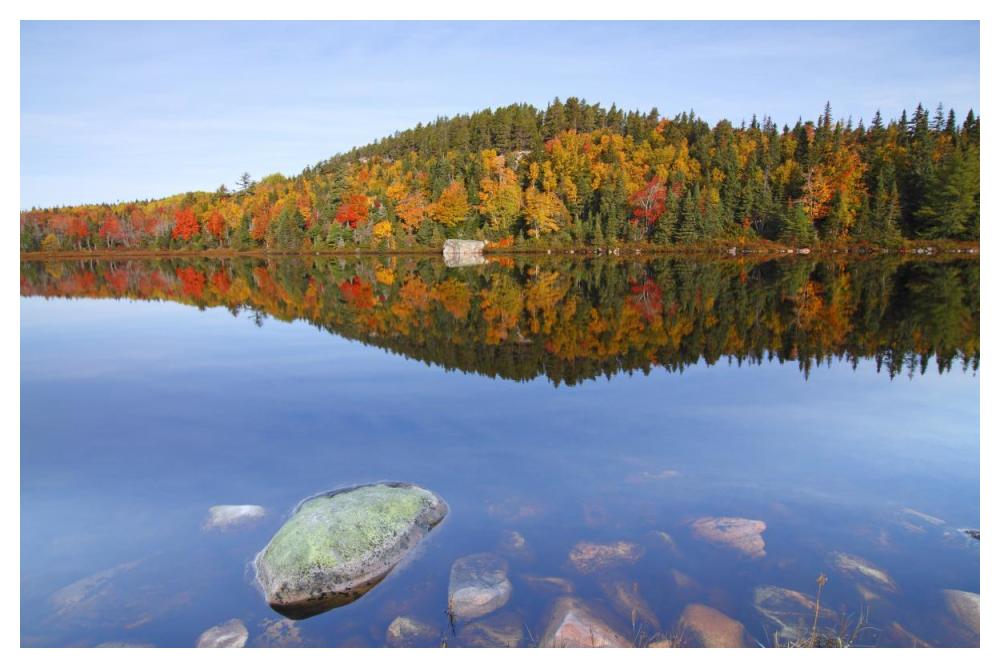 Jigging Cove Lake, Cape Breton Highlands National Park, Nova Scotia, Canada-Paper Art-50"x34"