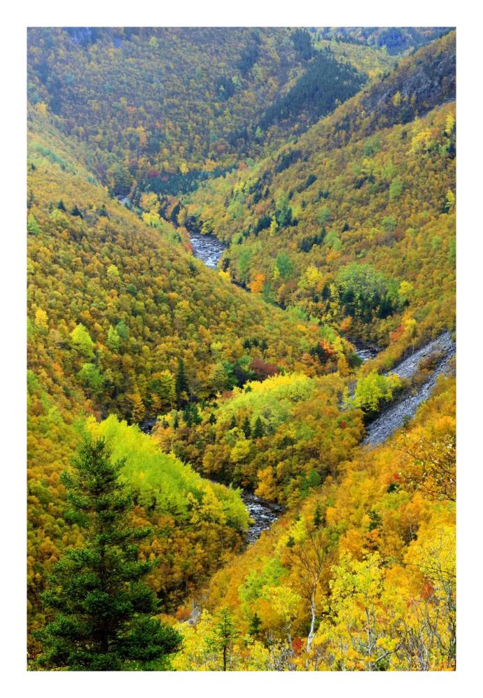 MacKenzie River valley, Cape Breton Highlands National Park, Nova Scotia, Canada-Paper Art-18"x26"