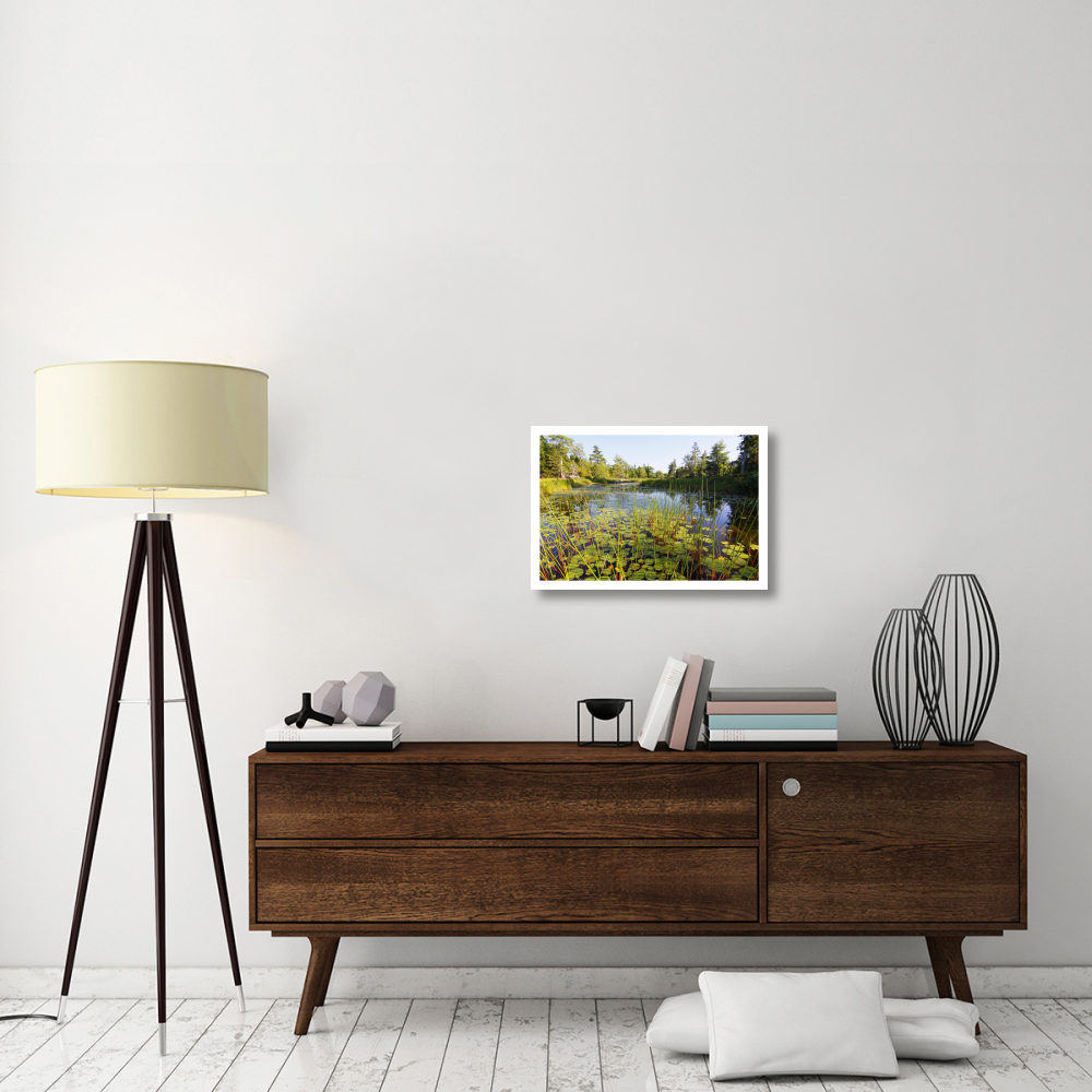 Marsh with reeds and lily pads surrounding a pond, West Stoney Lake, Nova Scotia, Canada-Paper Art-26&quotx18"