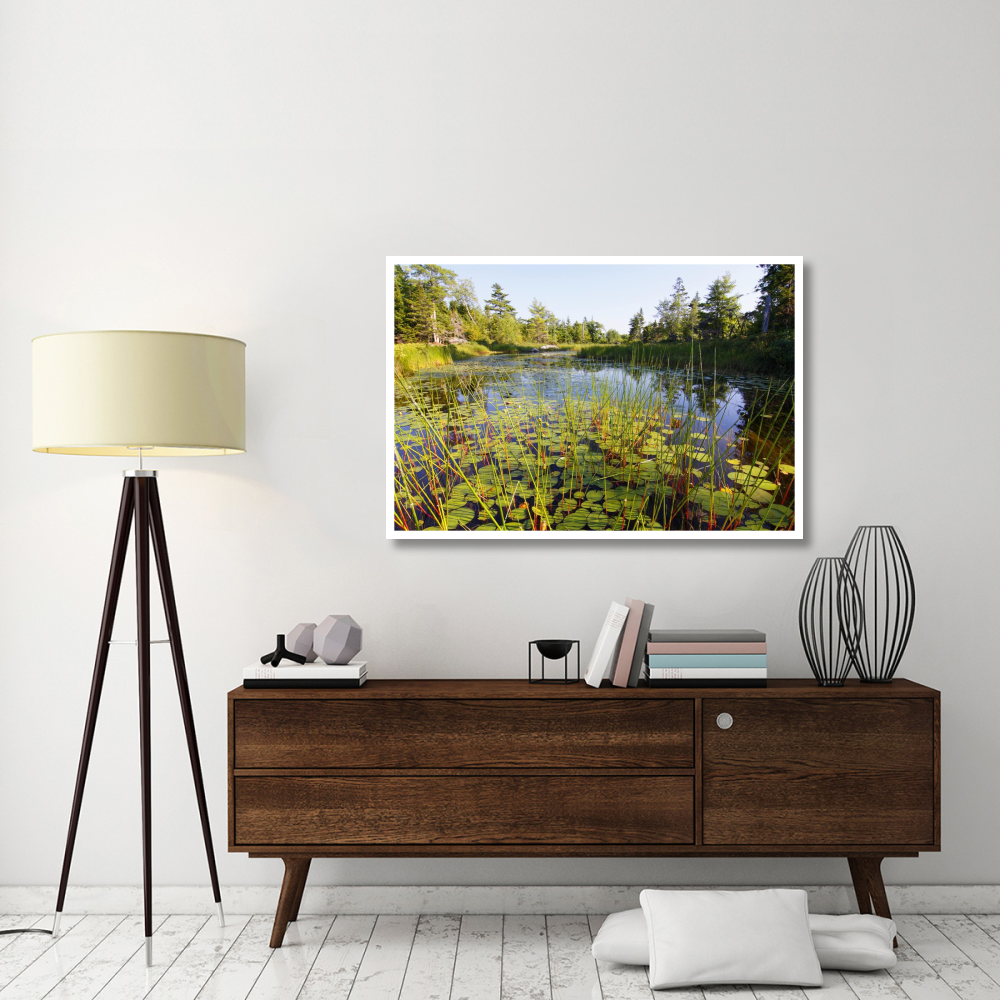 Marsh with reeds and lily pads surrounding a pond, West Stoney Lake, Nova Scotia, Canada-Paper Art-50&quotx34"