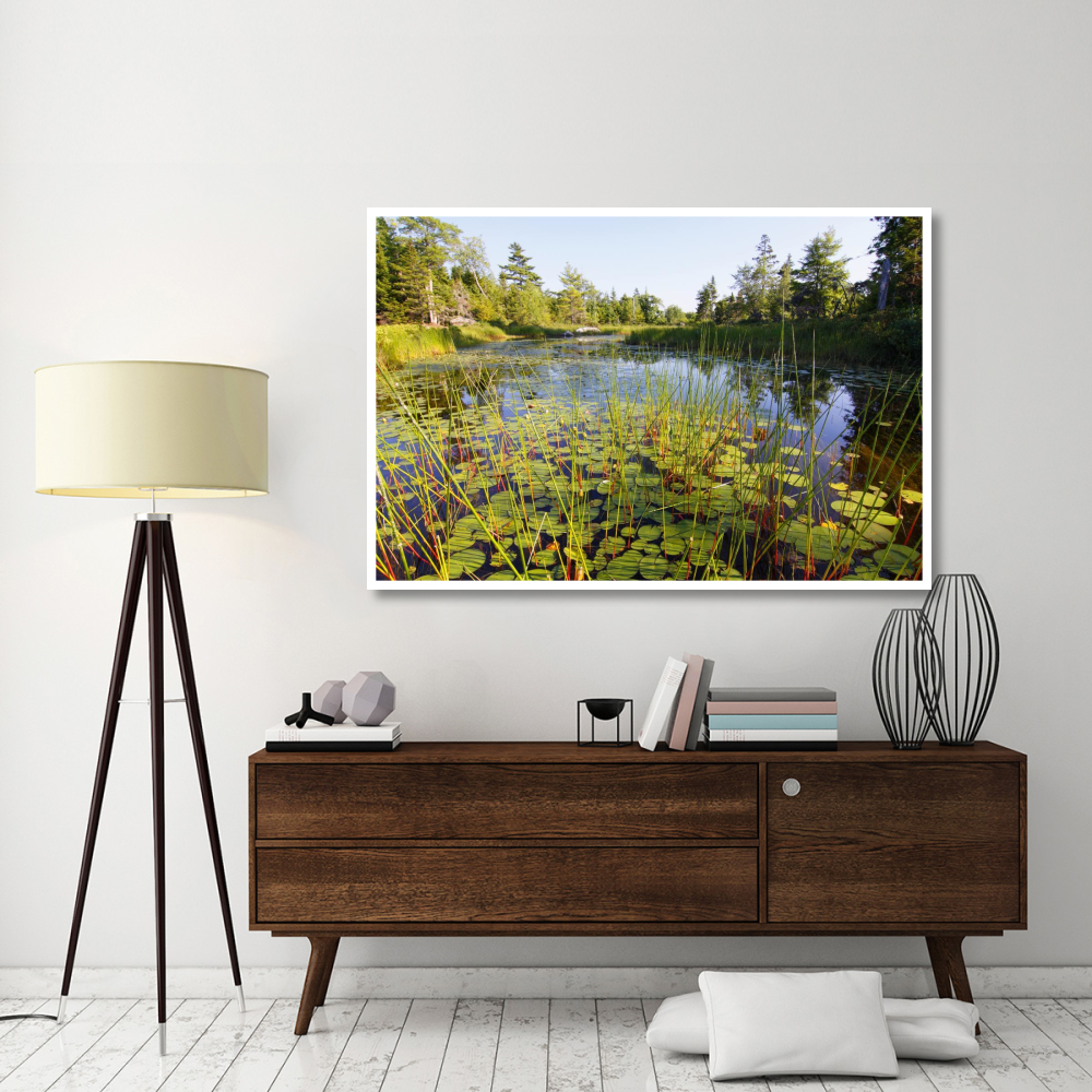 Marsh with reeds and lily pads surrounding a pond, West Stoney Lake, Nova Scotia, Canada-Paper Art-62&quotx42"