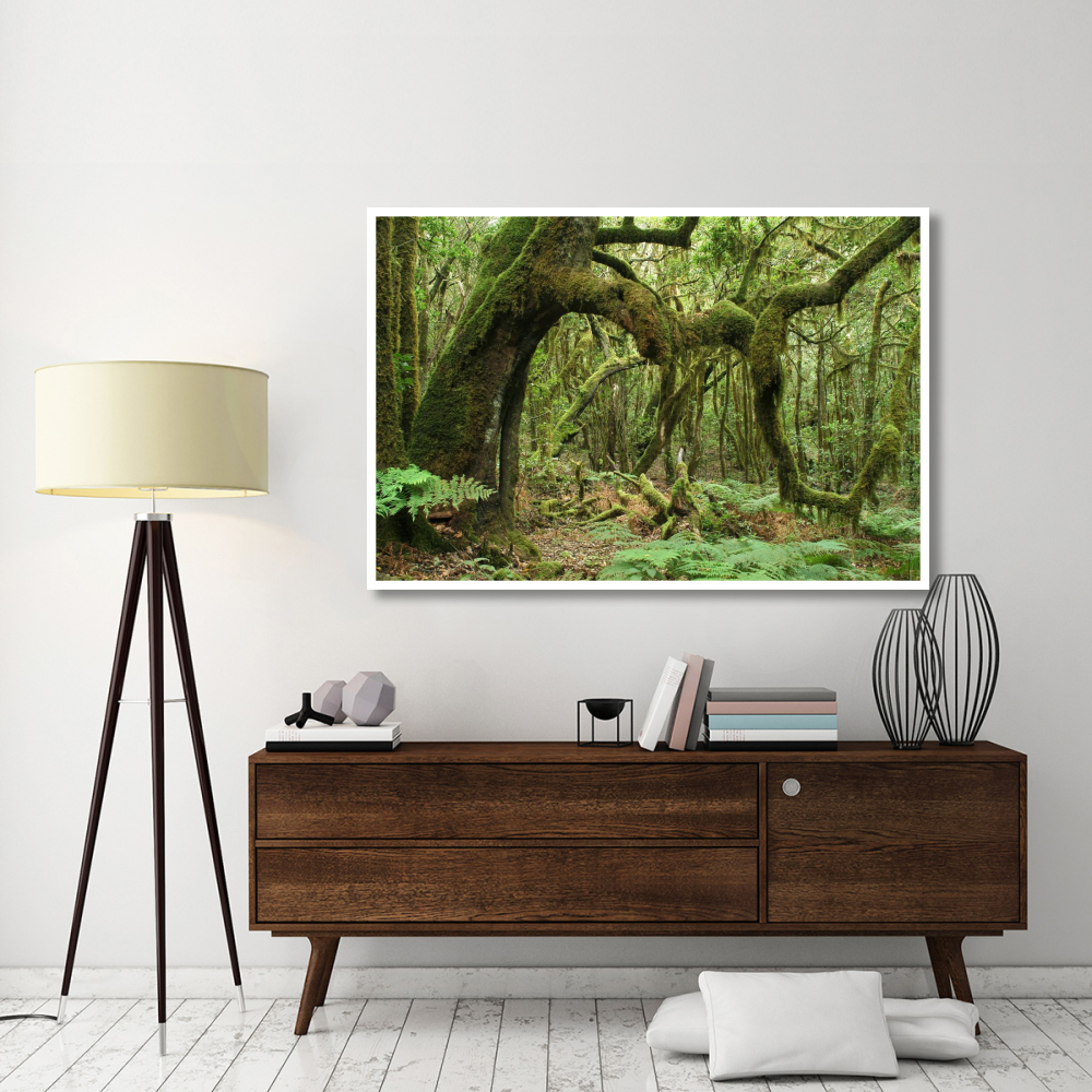 Macaronesian Laurel relict forest in Garajonay National Park, Canary Islands, Spain-Paper Art-62&quotx42"