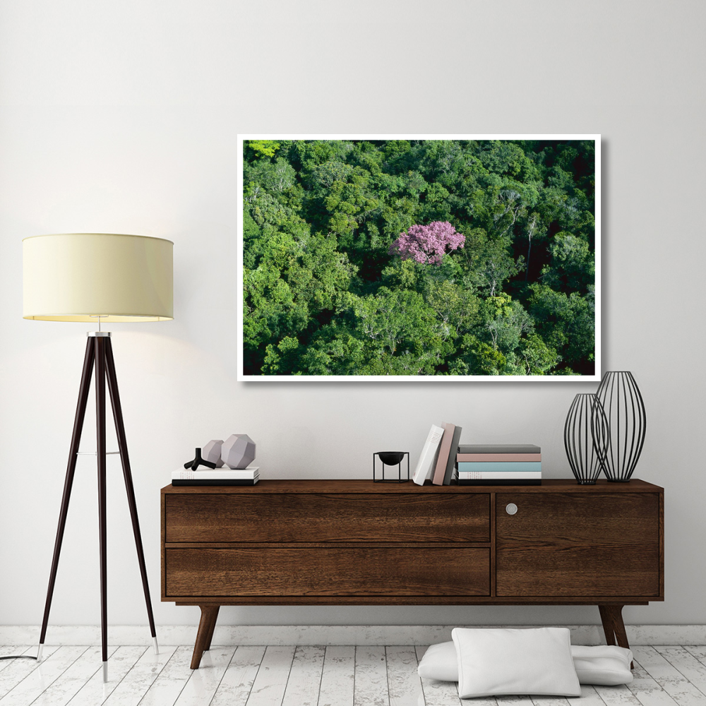 Pink flowering tree in rainforest canopy, Canaima National Park, Venezuela-Paper Art-62&quotx42"