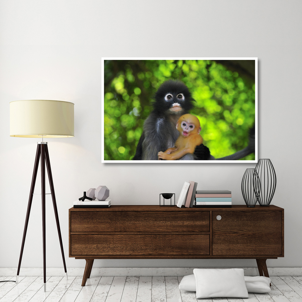 Dusky Leaf Monkey mother with baby, Khao Sam Roi Yot National Park, Thailand-Paper Art-62&quotx42"