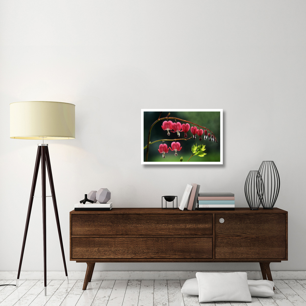 Bleeding Heart flowers-Paper Art-32&quotx22"