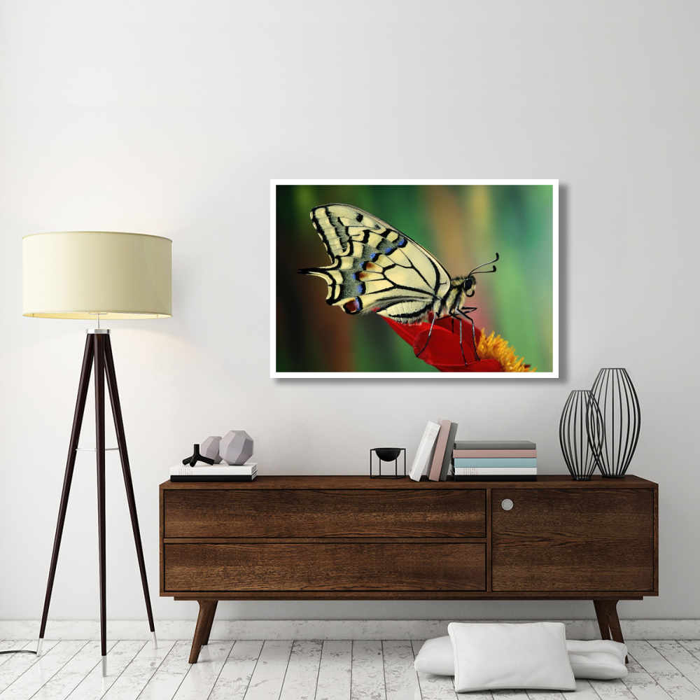 Oldworld Swallowtail side view, Europe-Paper Art-50&quotx34"
