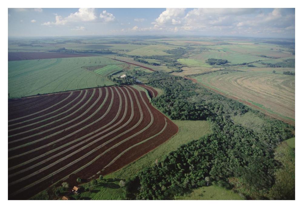 Farming region with forest remnants, southern Brazil-Paper Art-20"x14"