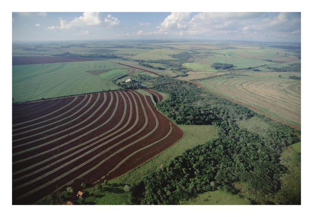 Farming region with forest remnants, southern Brazil-Paper Art-26"x18"