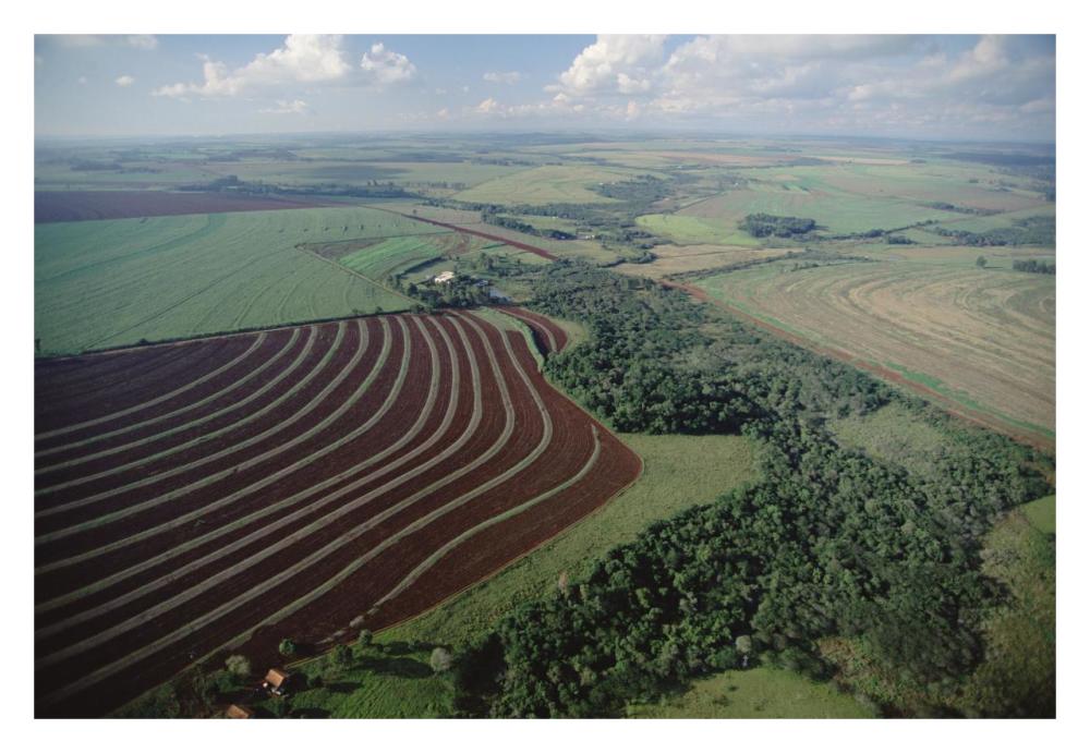 Farming region with forest remnants, southern Brazil-Paper Art-32"x22"