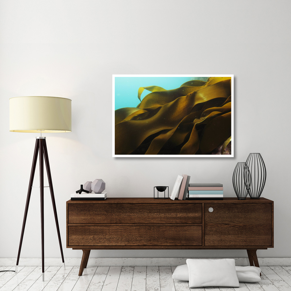 Ribbon Kelp, Antarctica-Paper Art-50&quotx34"