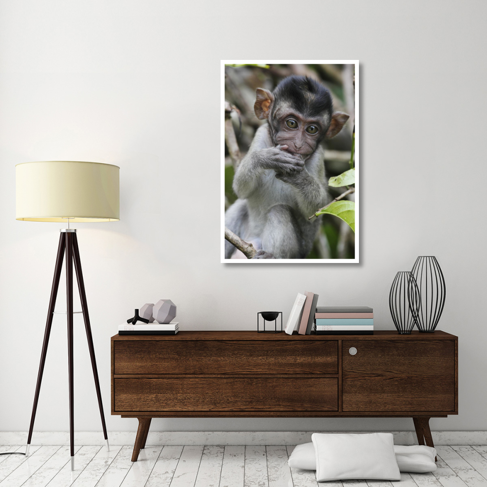 Long-tailed Macaque baby, Saba, Malaysia-Paper Art-34&quotx50"