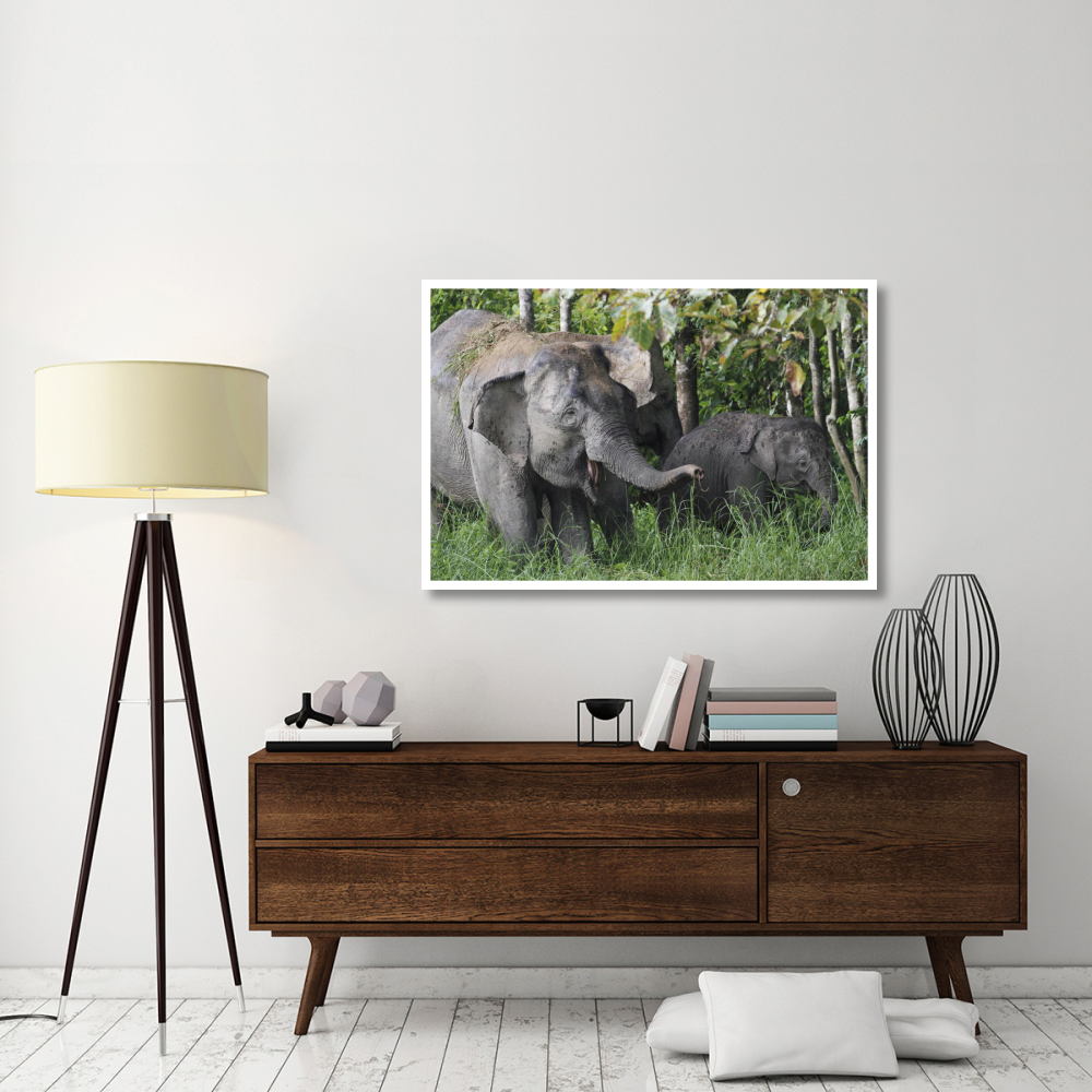Asian Elephant mother and baby, Saba, Malaysia-Paper Art-50&quotx34"