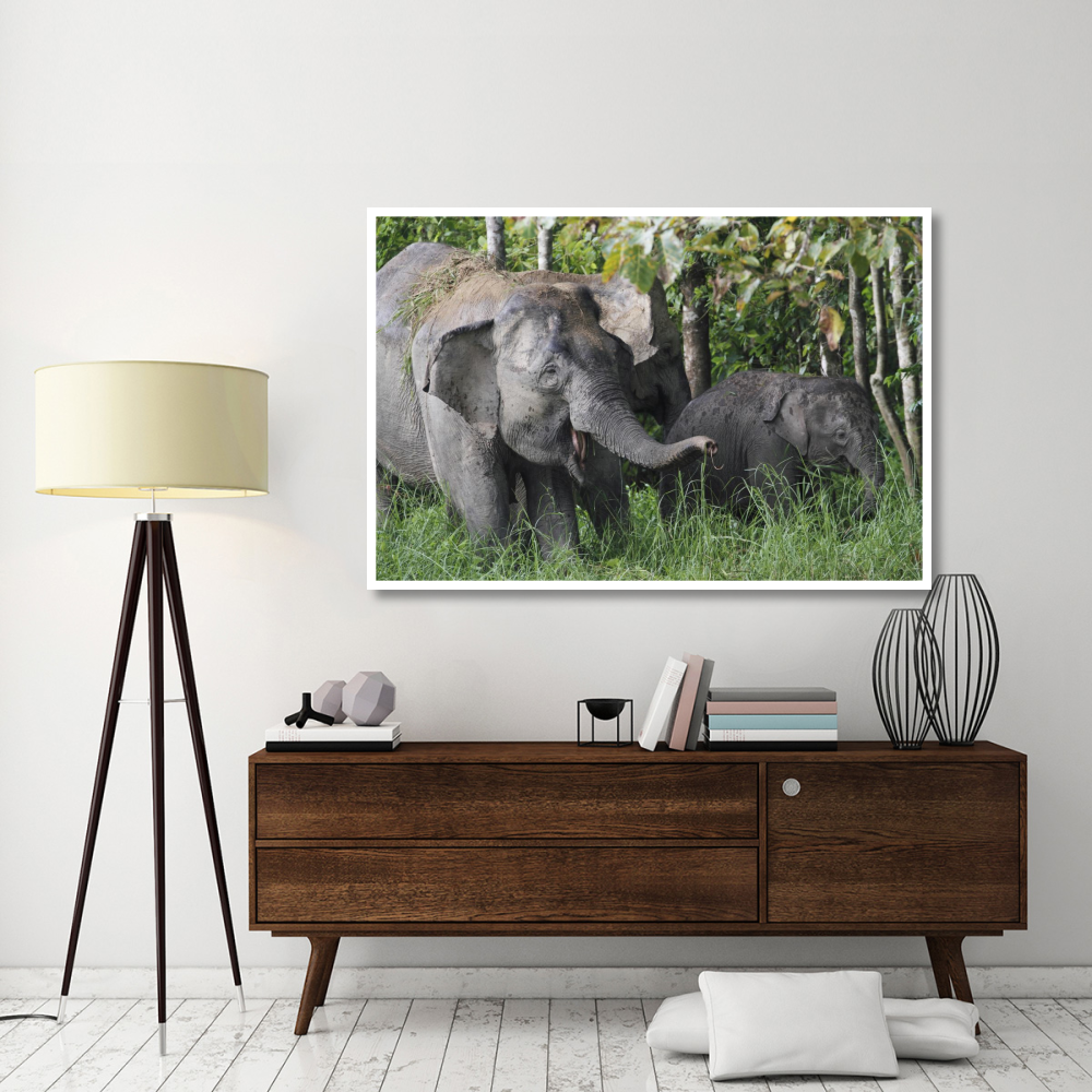 Asian Elephant mother and baby, Saba, Malaysia-Paper Art-62&quotx42"