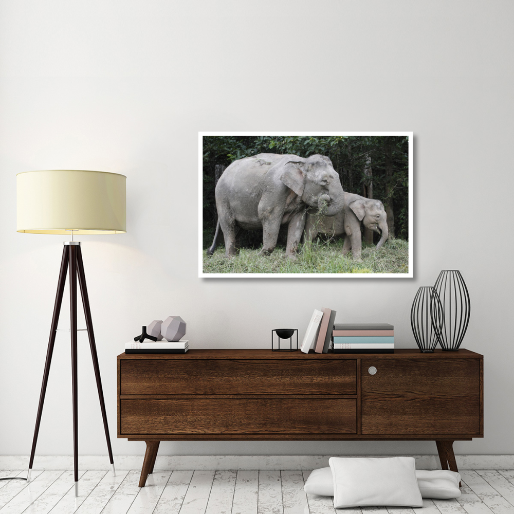 Asian Elephant mother and baby eating grass, Saba, Malaysia-Paper Art-50&quotx34"