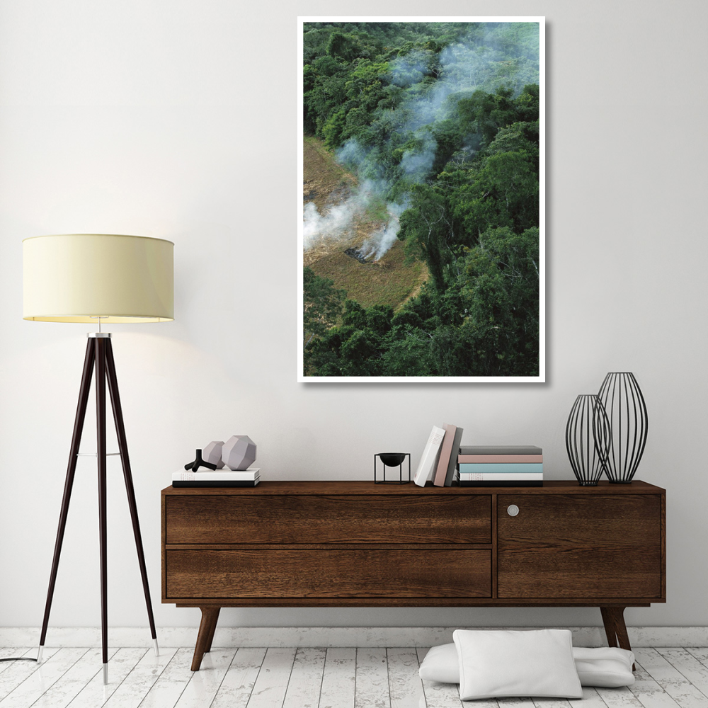 A farmer burns his agricultural field after harvesting the crop in a clearcut area in the forest, Usina Serra Grande, Atlantic Forest, Brazil-Paper Art-42&quotx62"