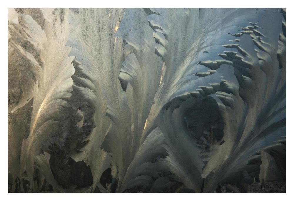 Frost crystal patterns on glass, Ross Sea, Antarctica-Paper Art-20"x14"