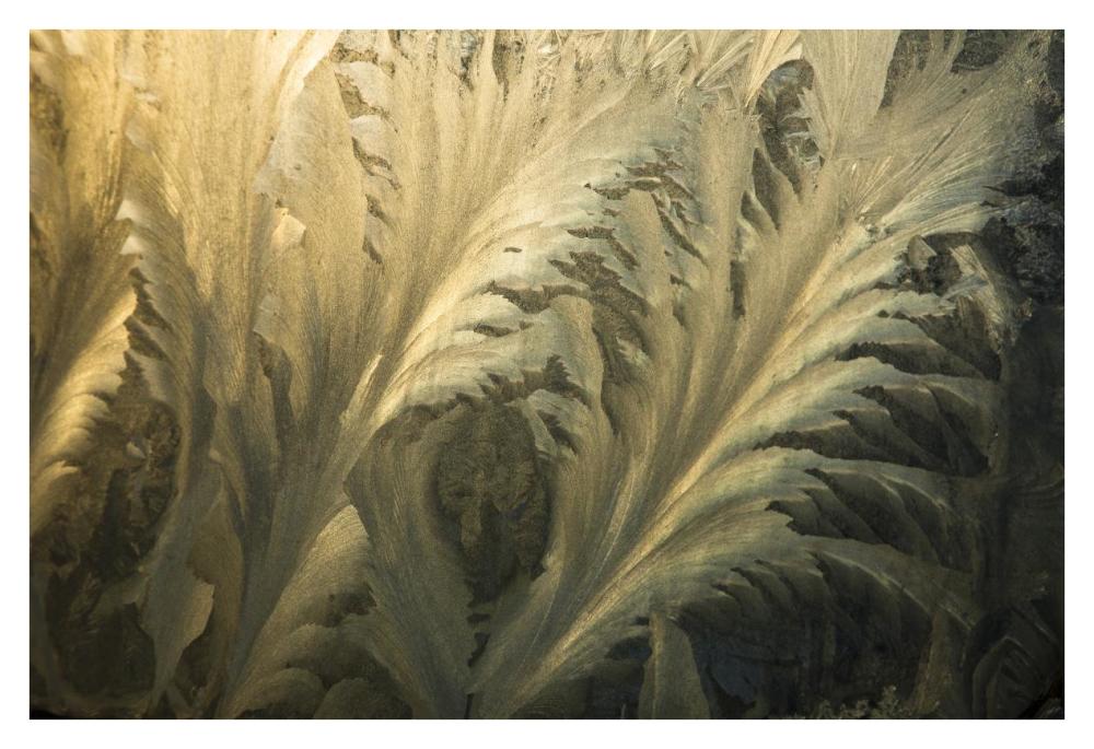 Frost crystal patterns on glass, Ross Sea, Antarctica-Paper Art-38"x26"