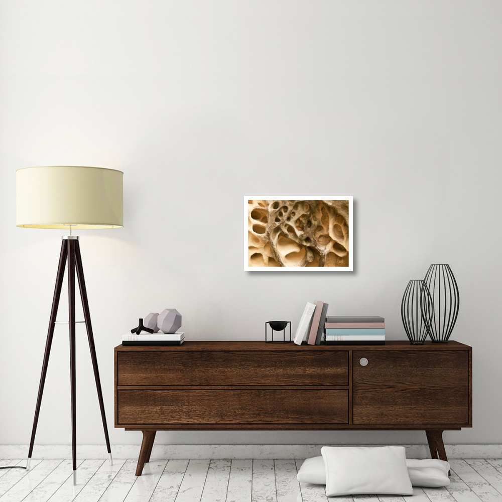 Cavernous weathering in sandstone rock, Sydney, Australia-Paper Art-26&quotx18"