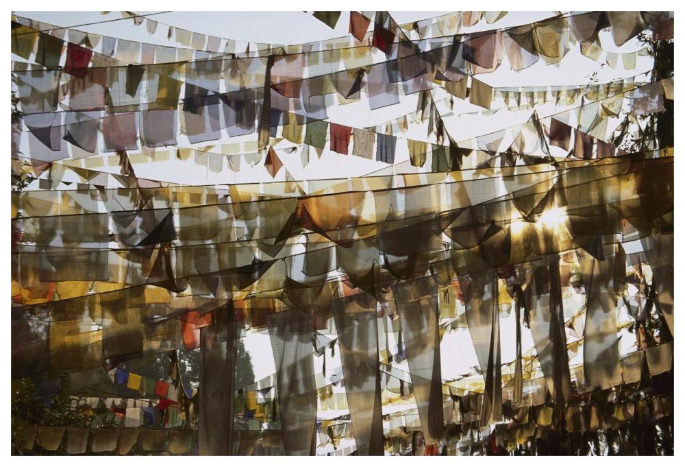 Prayer flags at dawn, Ganesh Top, Gangtok, Sikkim Himalaya, India-Paper Art-62"x42"
