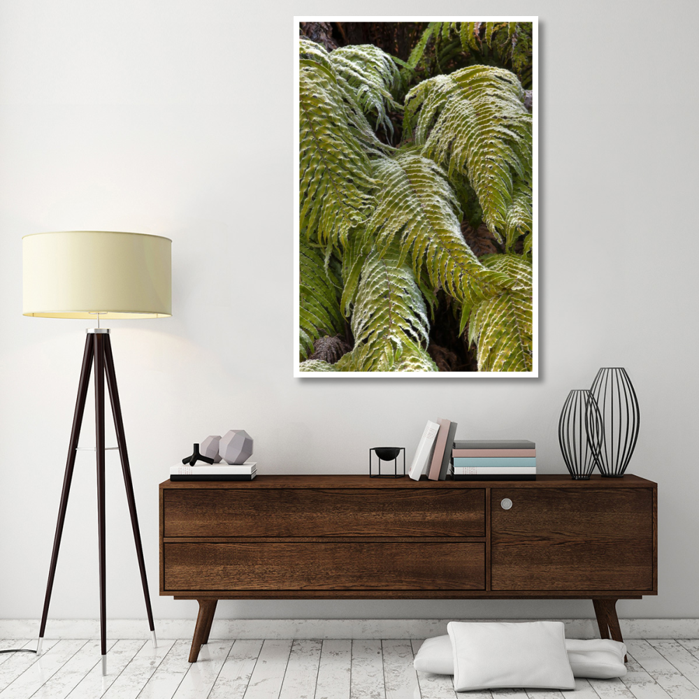 Kiokio covered in frost, Okarito, Westland National Park, west coast, New Zealand-Paper Art-42&quotx62"