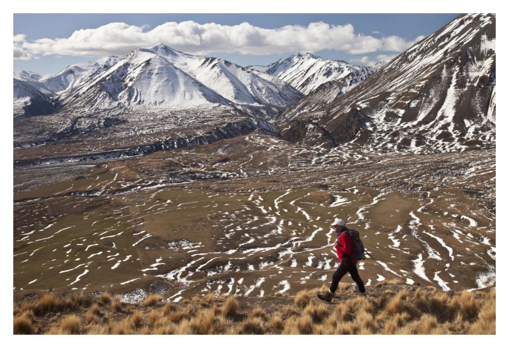 Hiker descends hill of Tussock Grass above Lake Heron Station, Canterbury, New Zealand-Paper Art-20"x14"