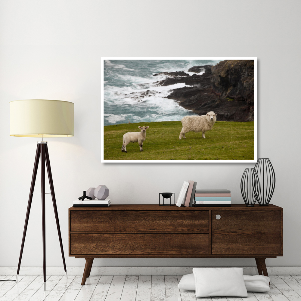Domestic Sheep and lamb near cliff edge, Stony Bay, Banks Peninsula, Canterbury, New Zealand-Paper Art-62&quotx42"
