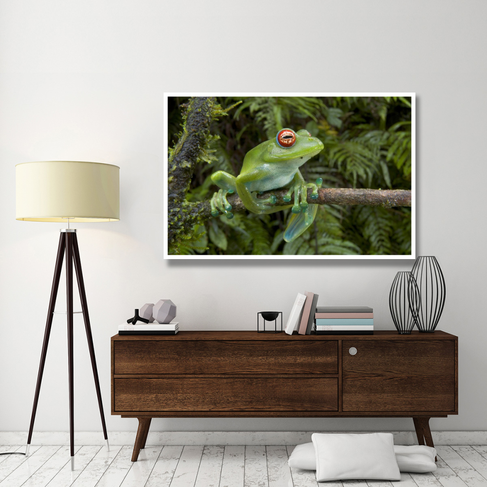 Malagasy Web-footed Frog clinging to limb, Madagascar-Paper Art-62&quotx42"