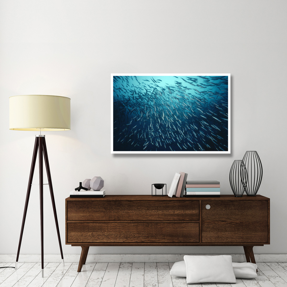 California Grunion schooling, California-Paper Art-50&quotx34"