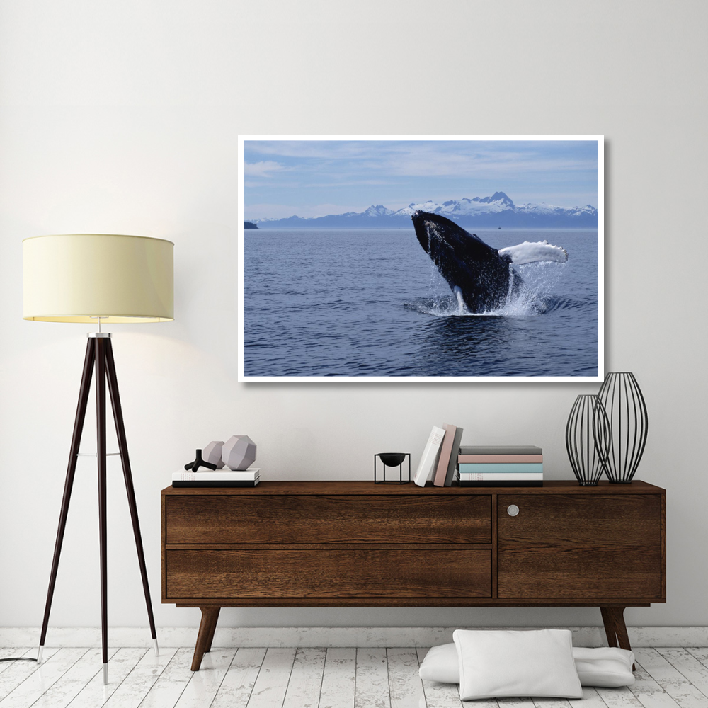 Humpback Whale breaching, Southeast Alaska-Paper Art-62&quotx42"